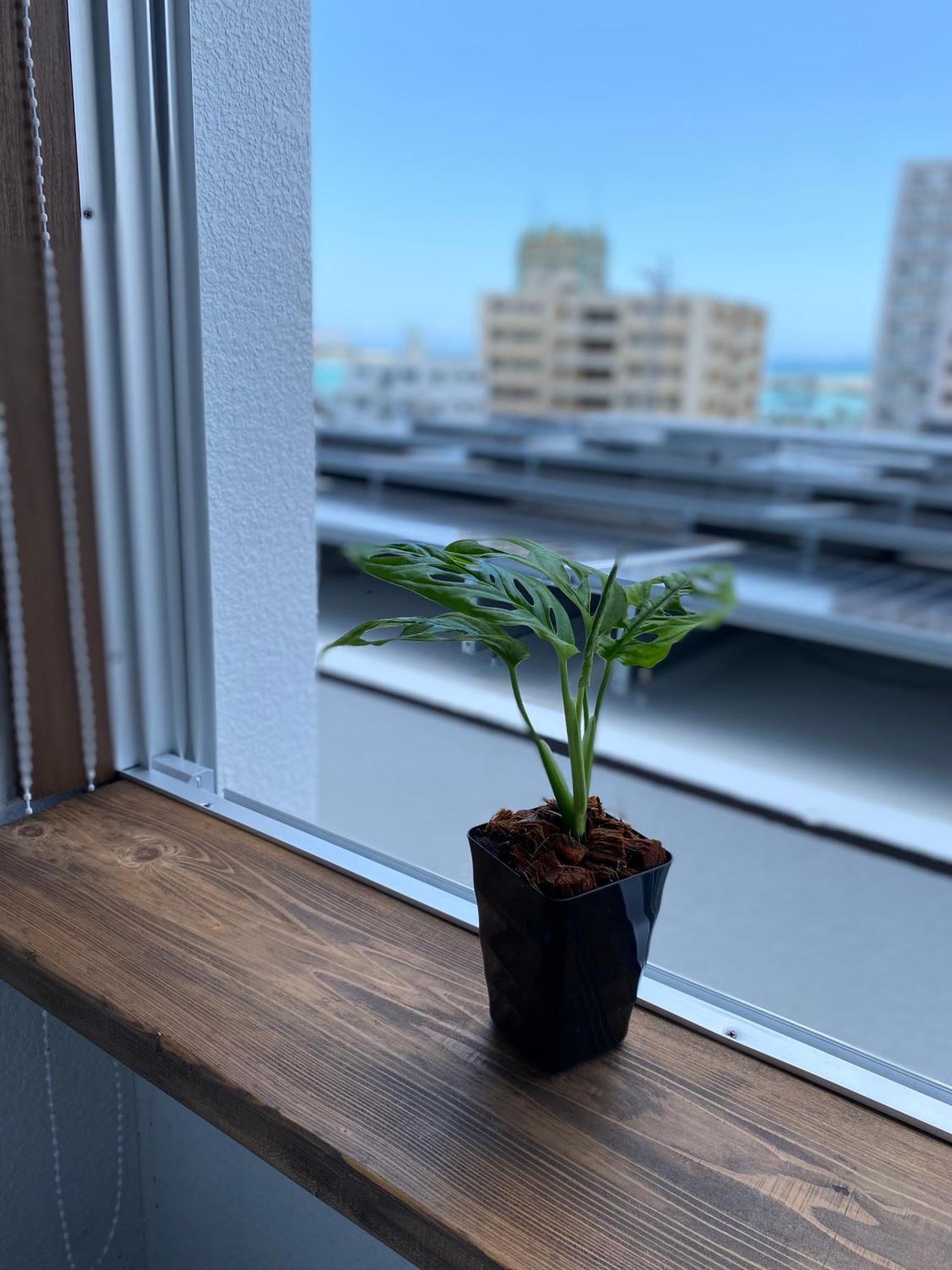 アワセベイストリートホテル Okinawa